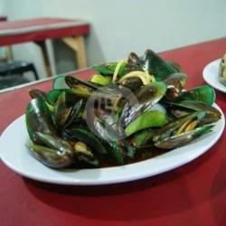 Kerang Hijau Rebus