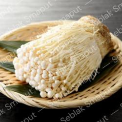 Jamur Enoki