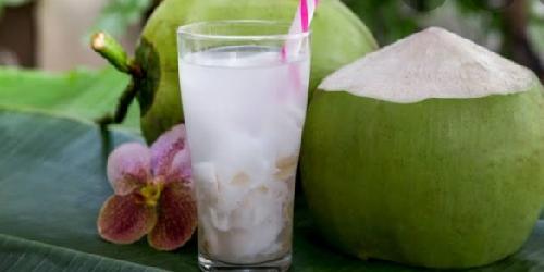 Es Kelapa Muda, Kelapa Ijo