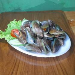 Kerang Hijau Rebus Medium