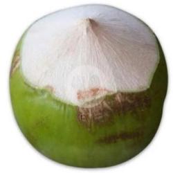 Kelapa Butiran Bulet