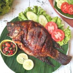 Ikan Nila Bakar Aja