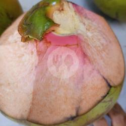 Kelapa Hijau Super Buat Obat