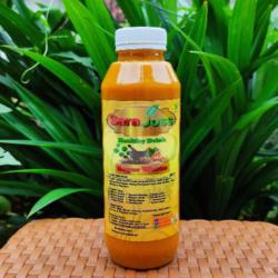 Jamu Serajoss Pegel Linu 500ml