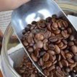 Biji Kopi Arabica Aceh