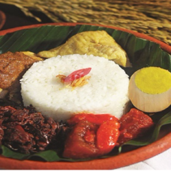 Nasi Gudeg Special