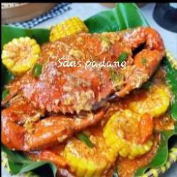 Kepiting Bakau Jumbo