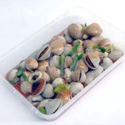 Kerang Darah Asam Manis