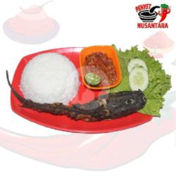 Nasi Lele Sambal Terasi