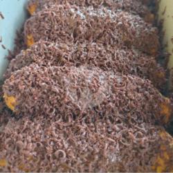 Pisang Pasir Coklat