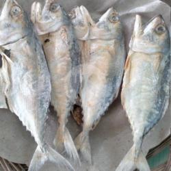 Sambal Ikan Asin Suaso Cabe Merah /ikan Asin Gembung