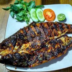 Ikan Patin Bakar/ Goreng