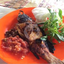Ikan Kerapu