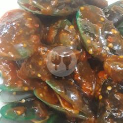 Kerang Tumpah Kerang Hijau