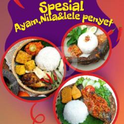 Ikan Nila Penyet   Nutri Sari All Varian
