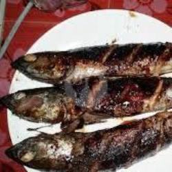 Ikan Tongkol Bakar