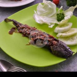 Paket Nasi Lele Bakar Penyet