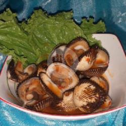 Kerang Bulu