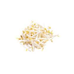 Bean Sprouts