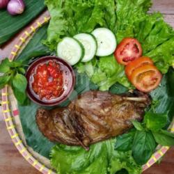 Bebek Setengah Ekor (medium)