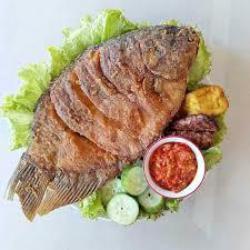 Ikan Gurame Lada Hitam