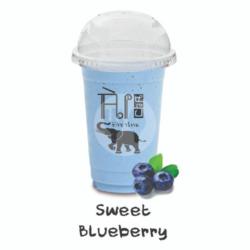 Sweet Blueberry