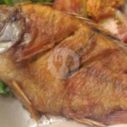 Ikan Kakap Merah Goreng Biasa