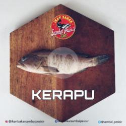 Kerapu Macan  2 Ons