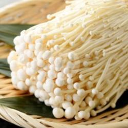 Jamur Enoki