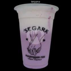 Segara Terpana