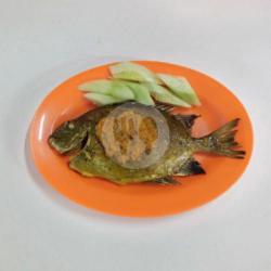 Ikan Lebam Bakar (s) Per Ekor