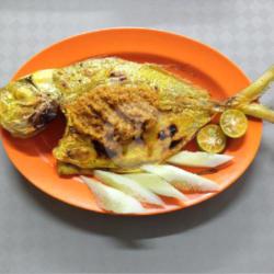 Ikan Putih Bakar Per Ekor (kecil)