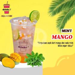 Manggo Mint Squash