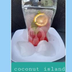 Coconut Island