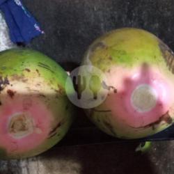 Kelapa Muda Ijo Obat Asli .(ukuran Sedeng)