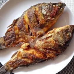 Paket Komplit Ikan Mas Goreng Teh Rekha