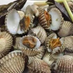 Kerang Dara Rebus
