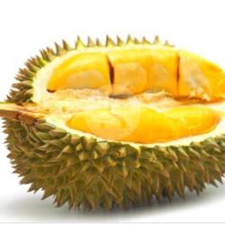 Terbul Durian Kacang Keju Meses