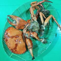 Kepiting Goreng