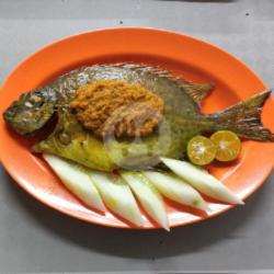 Ikan Lebam Bakar ( Per Ekor )