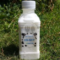 Yoghurt Leci Botol