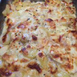 Potato Gratin