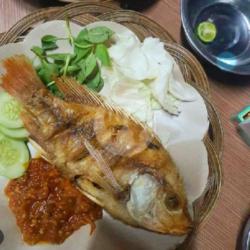 Ikan Nila Goreng Tanpa Nasi