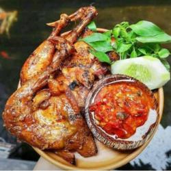 Ayam Goreng/bakar