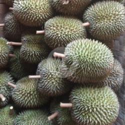 Durian Lokal (medan) .manis Legit