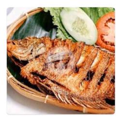 Ikan Gurame Lada Hitam