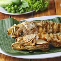 Ikan Kerapu