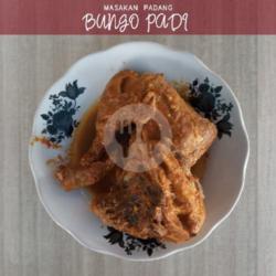 Ayam Kare