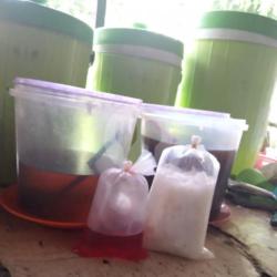 Kelapamuda Satuan D Bungkus   Sirup   Gula   Es