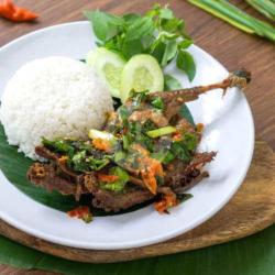 Paket Bebek Muda Rica